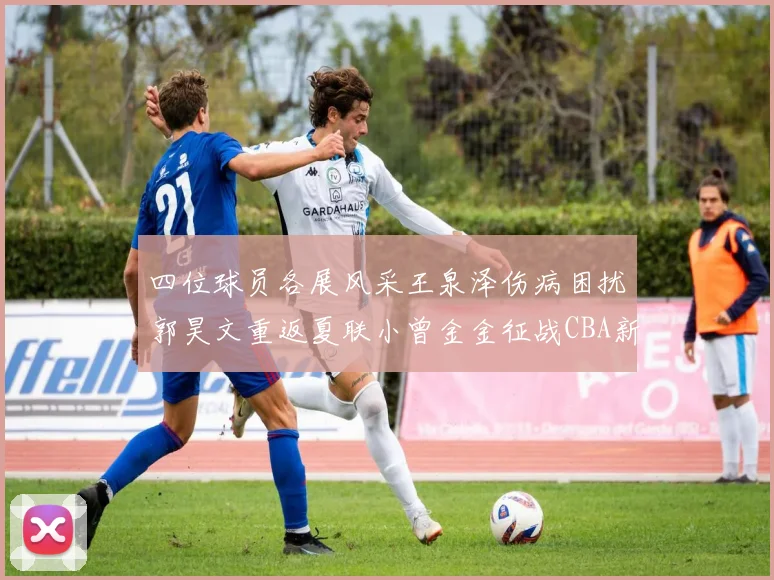 四位球员各展风采王泉泽伤病困扰郭昊文重返夏联小曾金金征战CBA新赛季